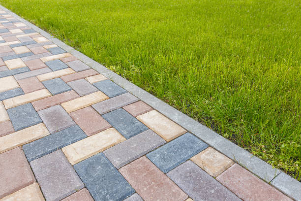 Best Professional Driveway Pavers  in Colonial Heights, VA